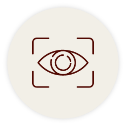 Online Visualizer Icon